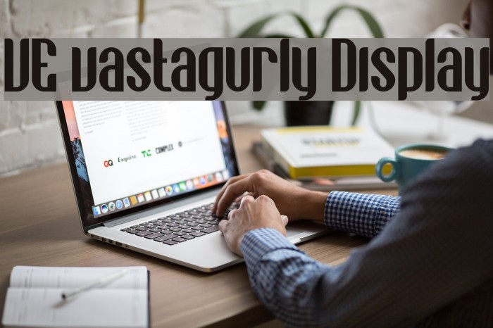 VE vastagurly Display Example 1