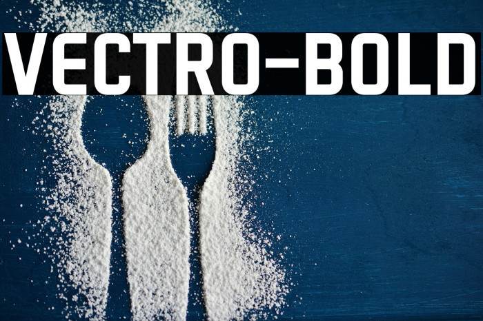 VECTRO-Bold Example 1