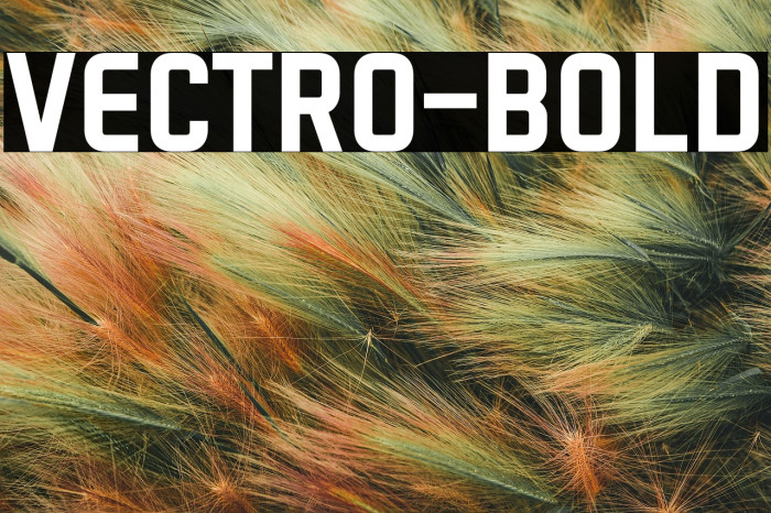 VECTRO-Bold Example 2