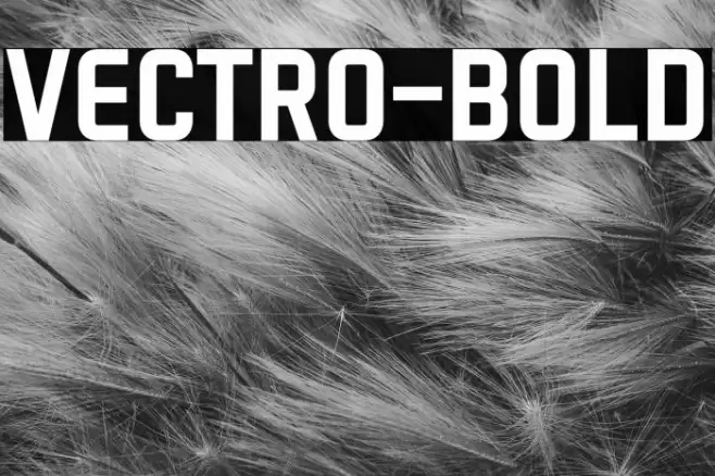 VECTRO-Bold Font examples