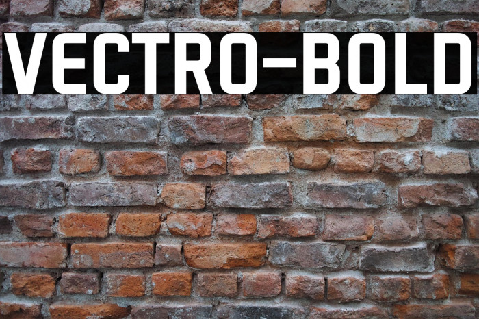 VECTRO-Bold Example 3