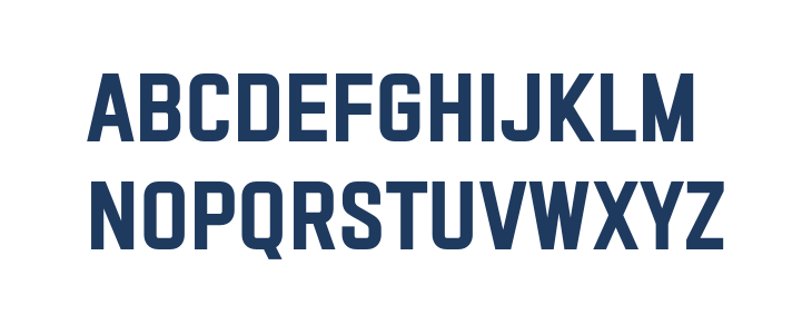 VECTRO-Bold Lowercase