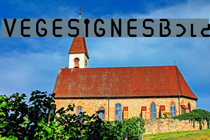 VEGESIGNES Bold Font examples