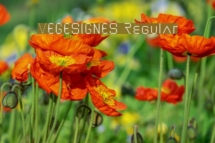 VEGESIGNES Regular Font examples