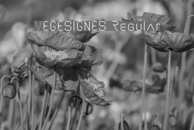 VEGESIGNES Regular Fonte examples