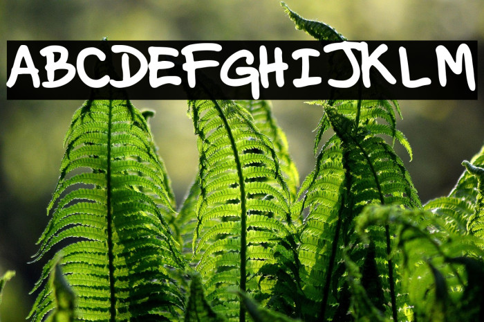 VEGgY PERSONAL USE Semi-expanded Medium Example 3