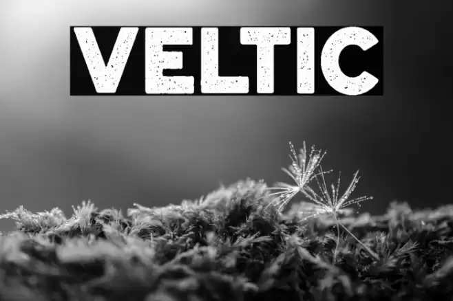 VELTIC Font examples