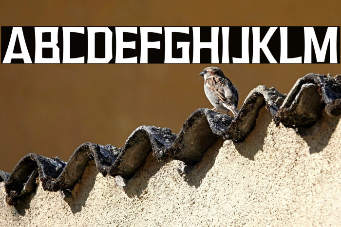 VEMBAZAX RM REGULAR Example 1