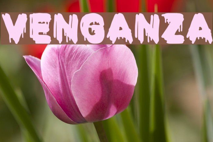 VENGANZA Font examples