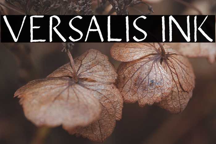 VERSALIS INK Example 2
