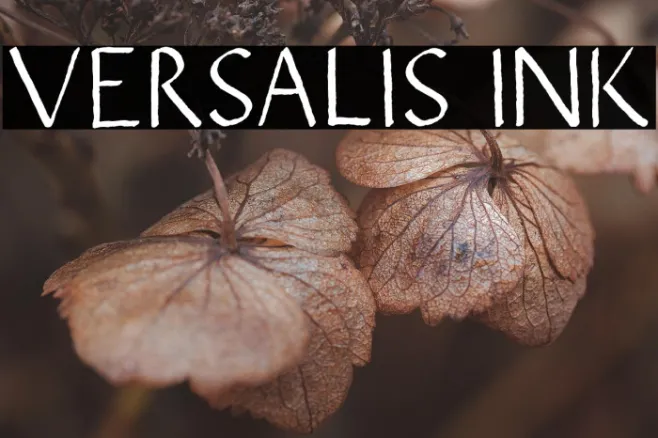 VERSALIS INK Example 2