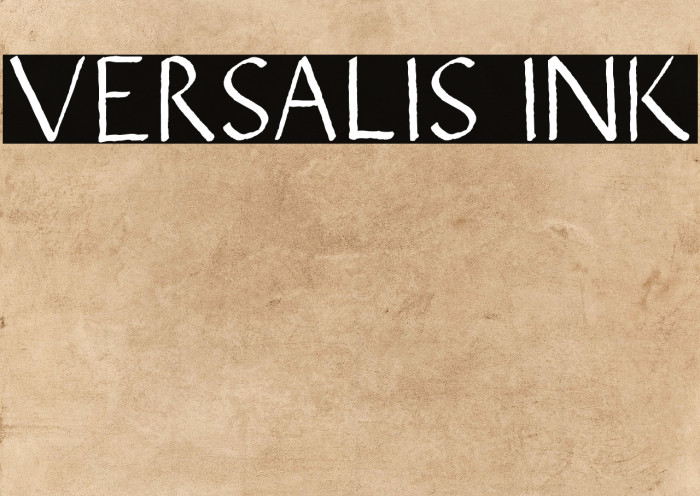 VERSALIS INK Example 3