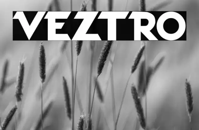 VEZTRO Font examples