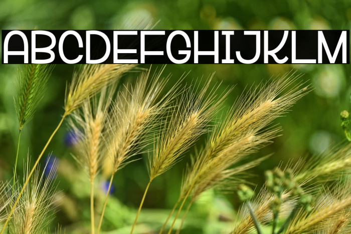 VeRsaLiTa& Example 1