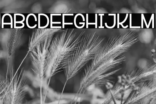 VeRsaLiTa& Font examples