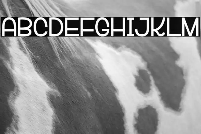 VeRsaLiTa& Font examples