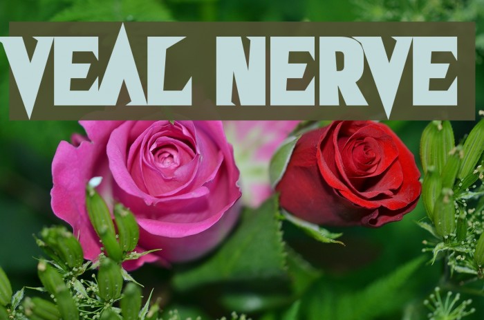 Veal Nerve Fuentes examples