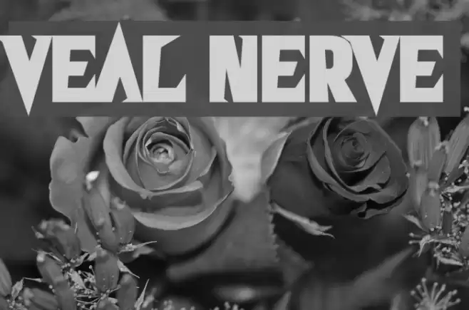 Veal Nerve Font examples