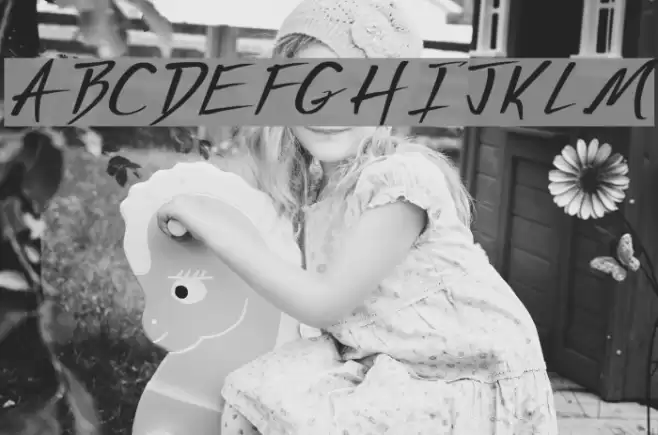 Vecker Bold Font examples