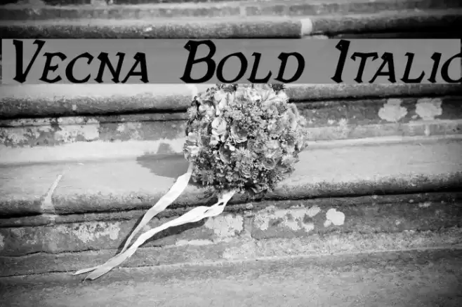 Vecna Bold Italic Font examples