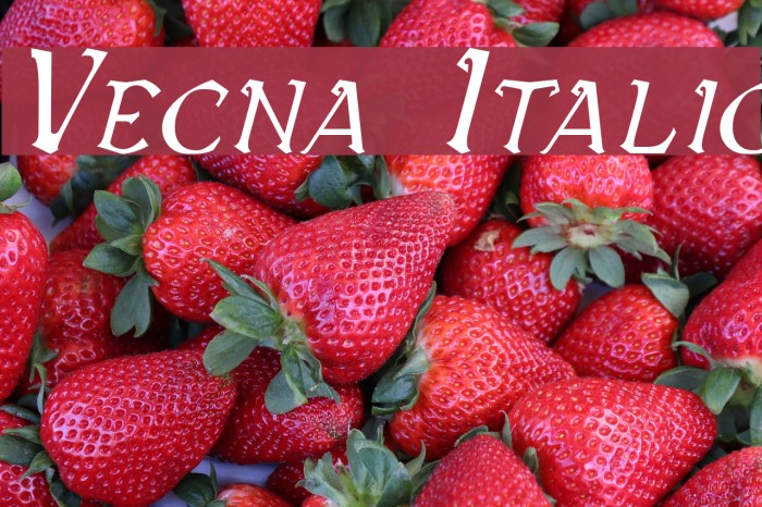 Vecna Italic Font examples