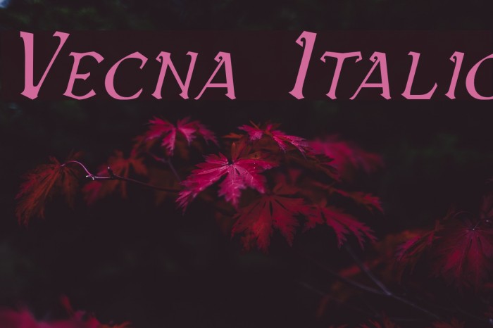 Vecna Italic Font examples