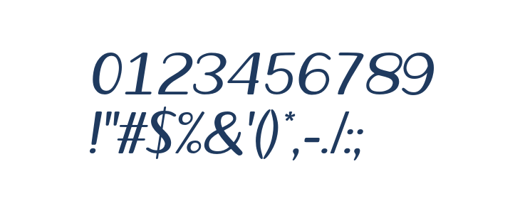 Vecoly-Italic Other Characters