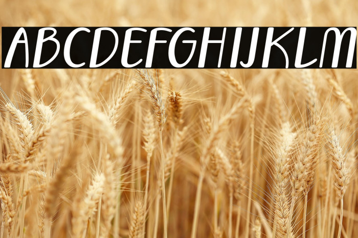 Vecoly-Italic Example 1