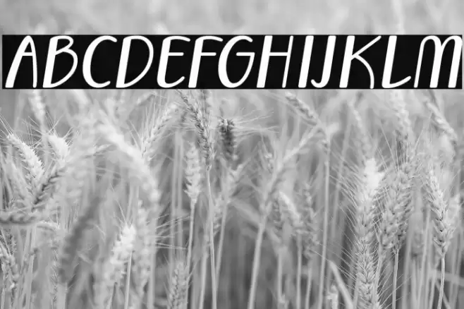 Vecoly-Italic Font examples