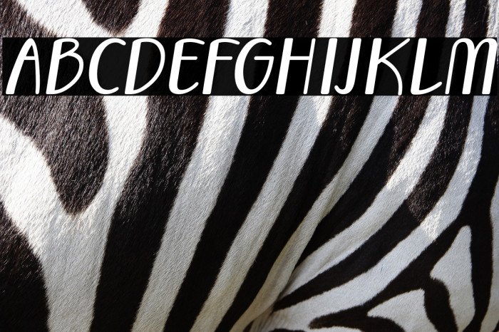 Vecoly-Italic Example 3