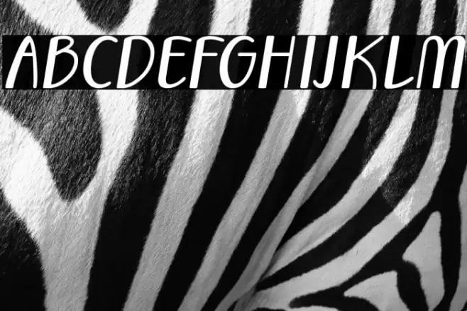 Vecoly-Italic Font examples