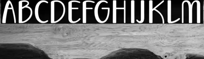 Vecoly Font examples