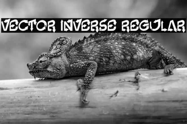 Vector Inverse Regular Font examples