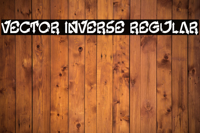 Vector Inverse Regular Example 3