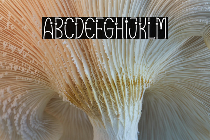 Vector Line Example 1