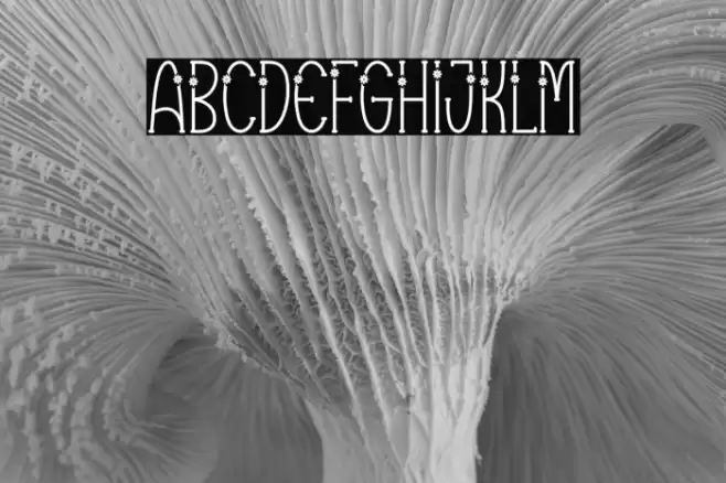 Vector Line フォント examples