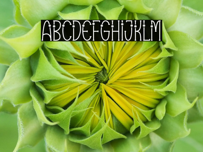 Vector Line Example 2