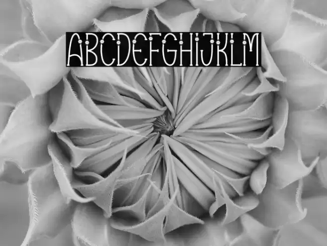 Vector Line フォント examples