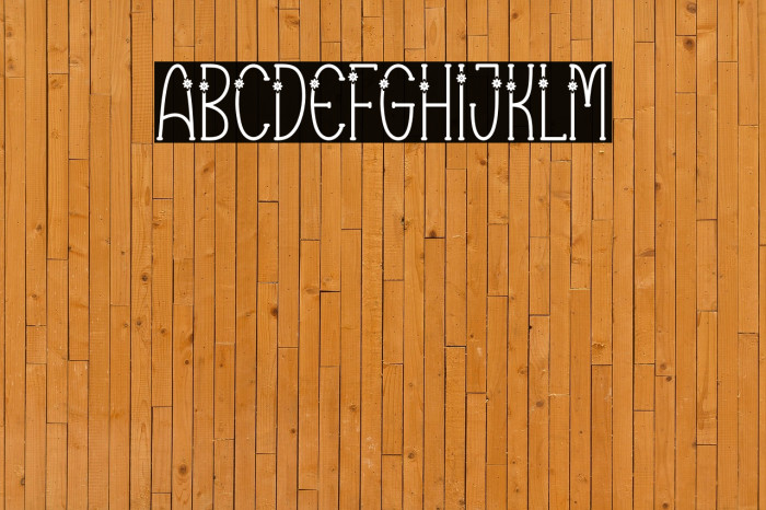 Vector Line Example 3