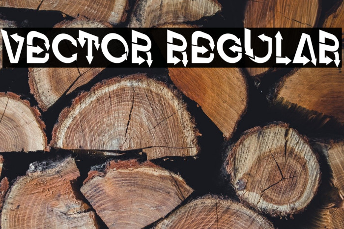 Vector Regular Example 1