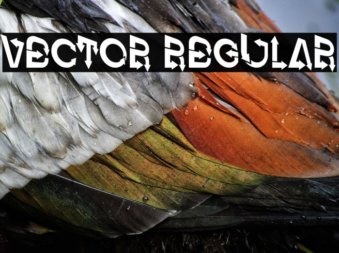 Vector Regular Example 2