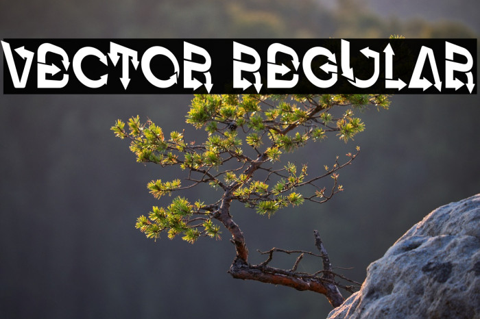 Vector Regular Example 3