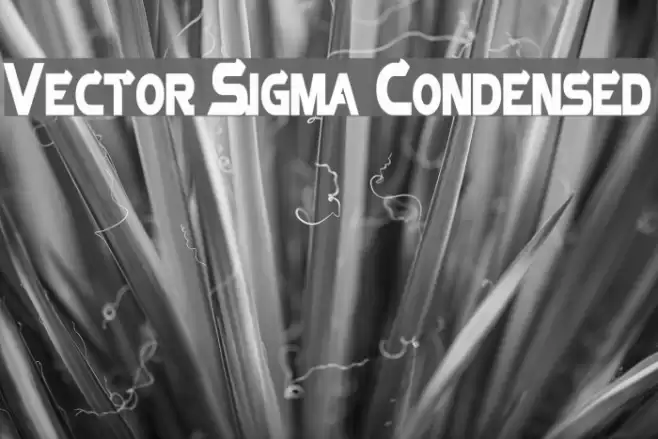 Vector Sigma Condensed Polices examples