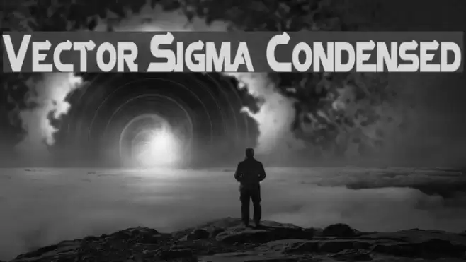 Vector Sigma Condensed Polices examples