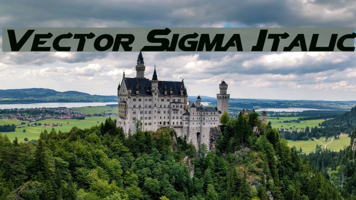 Vector Sigma Italic Example 2