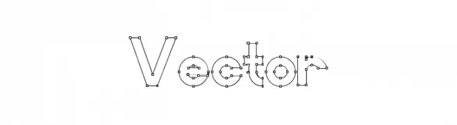Vector 