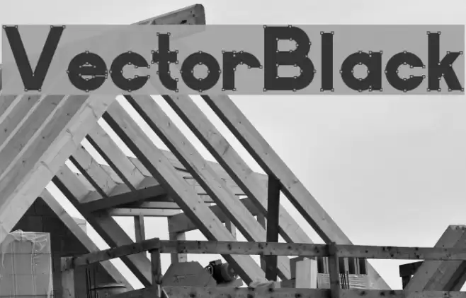 VectorBlack Font examples