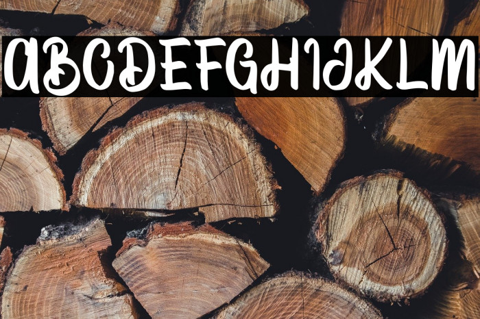 VectorType Example 1