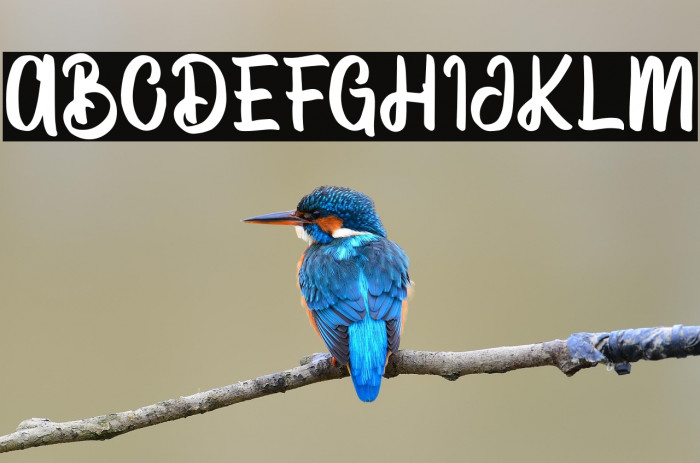 VectorType Example 2