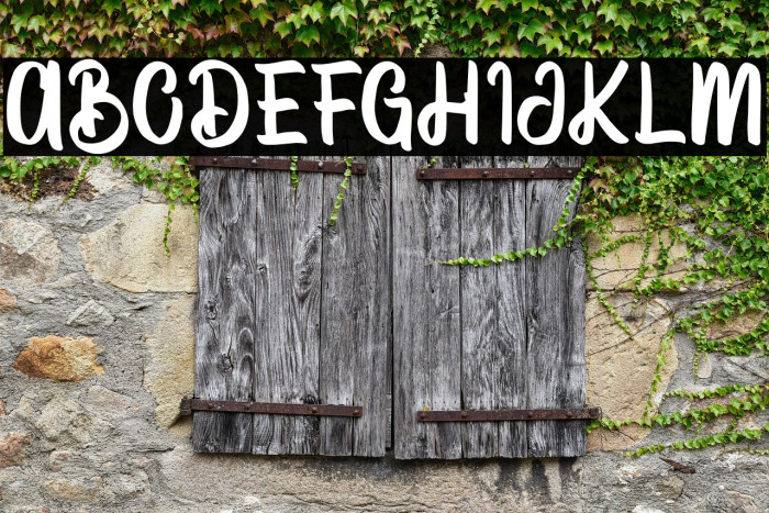 VectorType Example 3